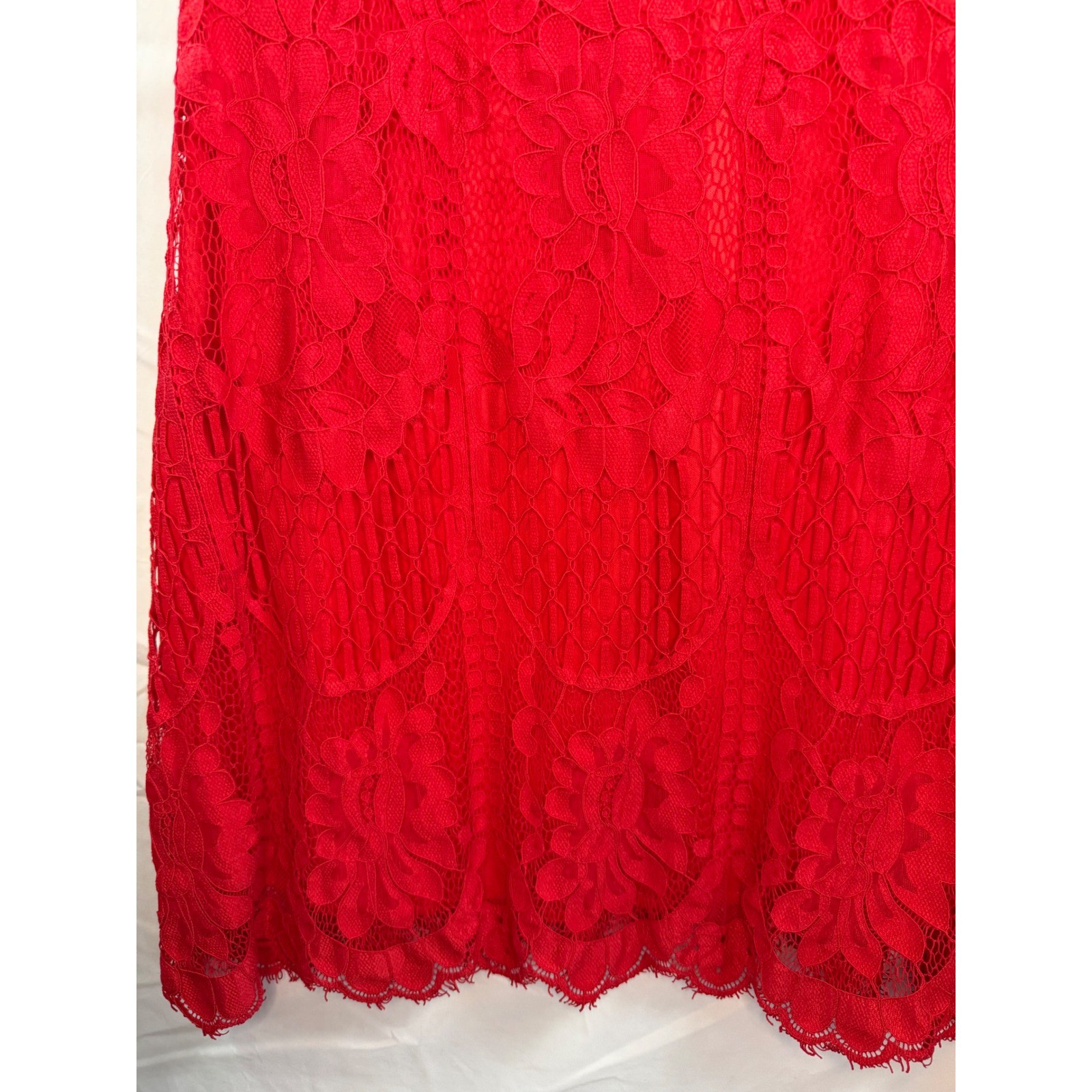 Red Floral Lace Short Sleeve V-Back Sheath Cocktail Dress Scalloped Hem