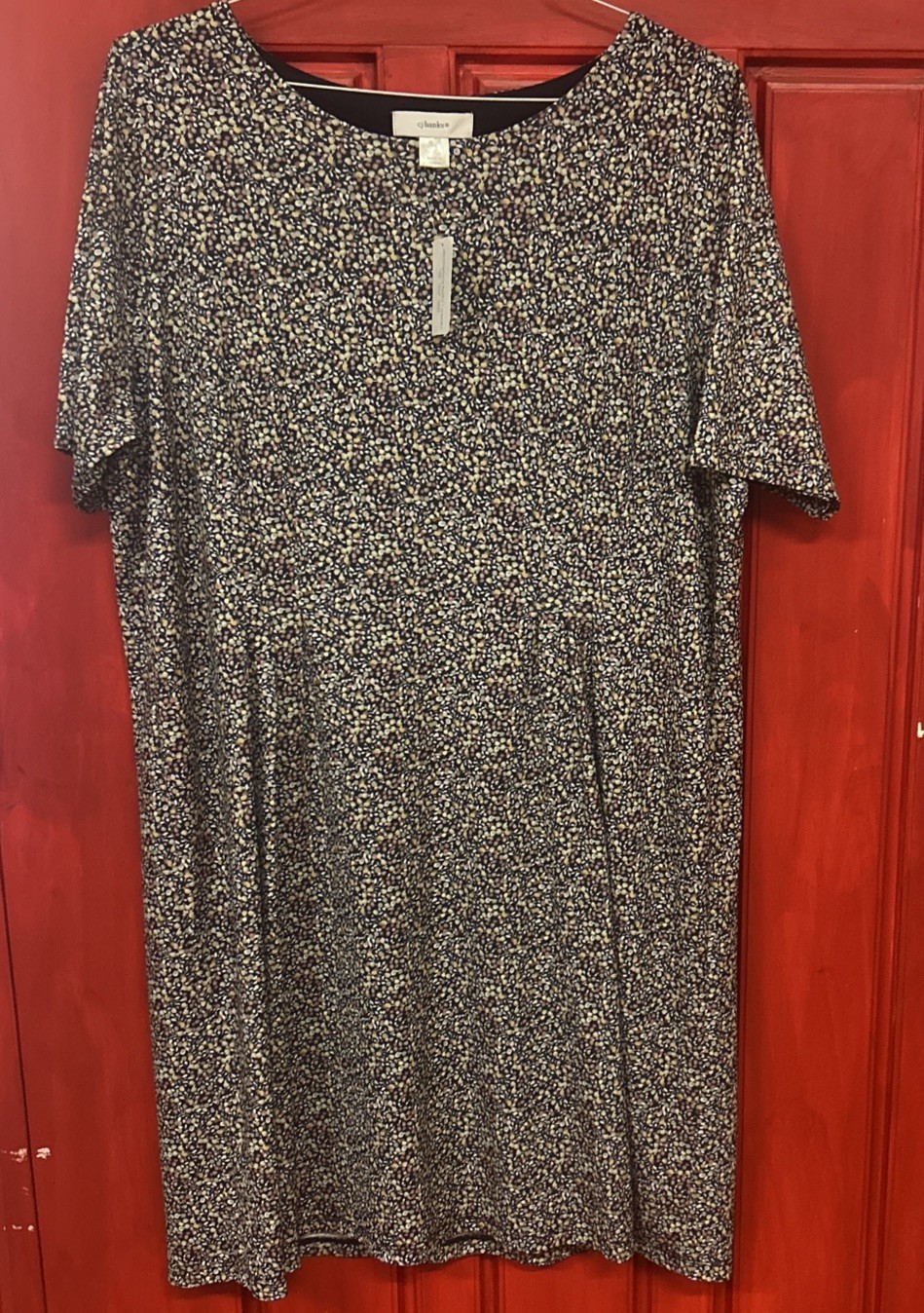Women’s Dress New With Tags