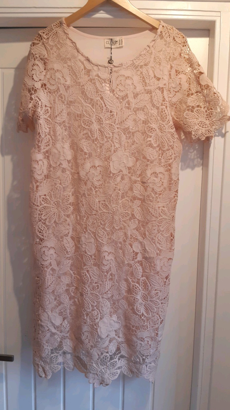 Ladies Club L Nude Lace Overlay Special Occasion Dress – UK 14 NO UNDERDRESS