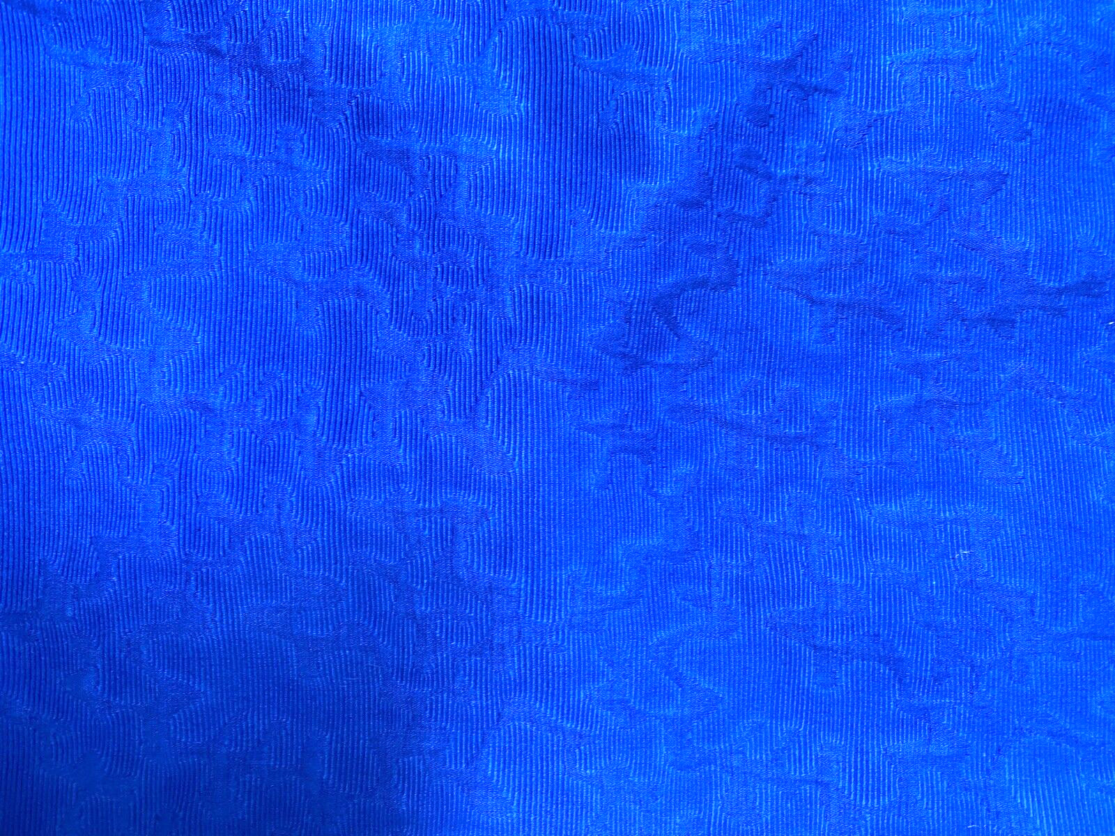 NWT~MUSE Royal Blue Textured Jacquard 100% Cotton Dress~8~Ret $159