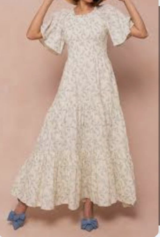 NWT Ivy City Co Jovie Maxi Dress Blue Floral Cottagecore Romantic Women’s 3X