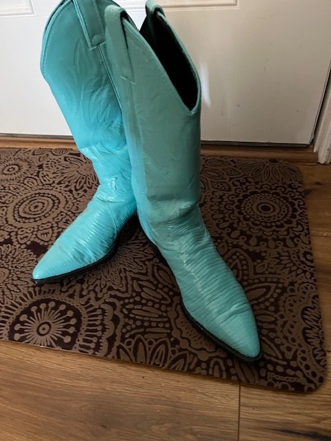 Jan Faulkner Rodeo Queen Dress