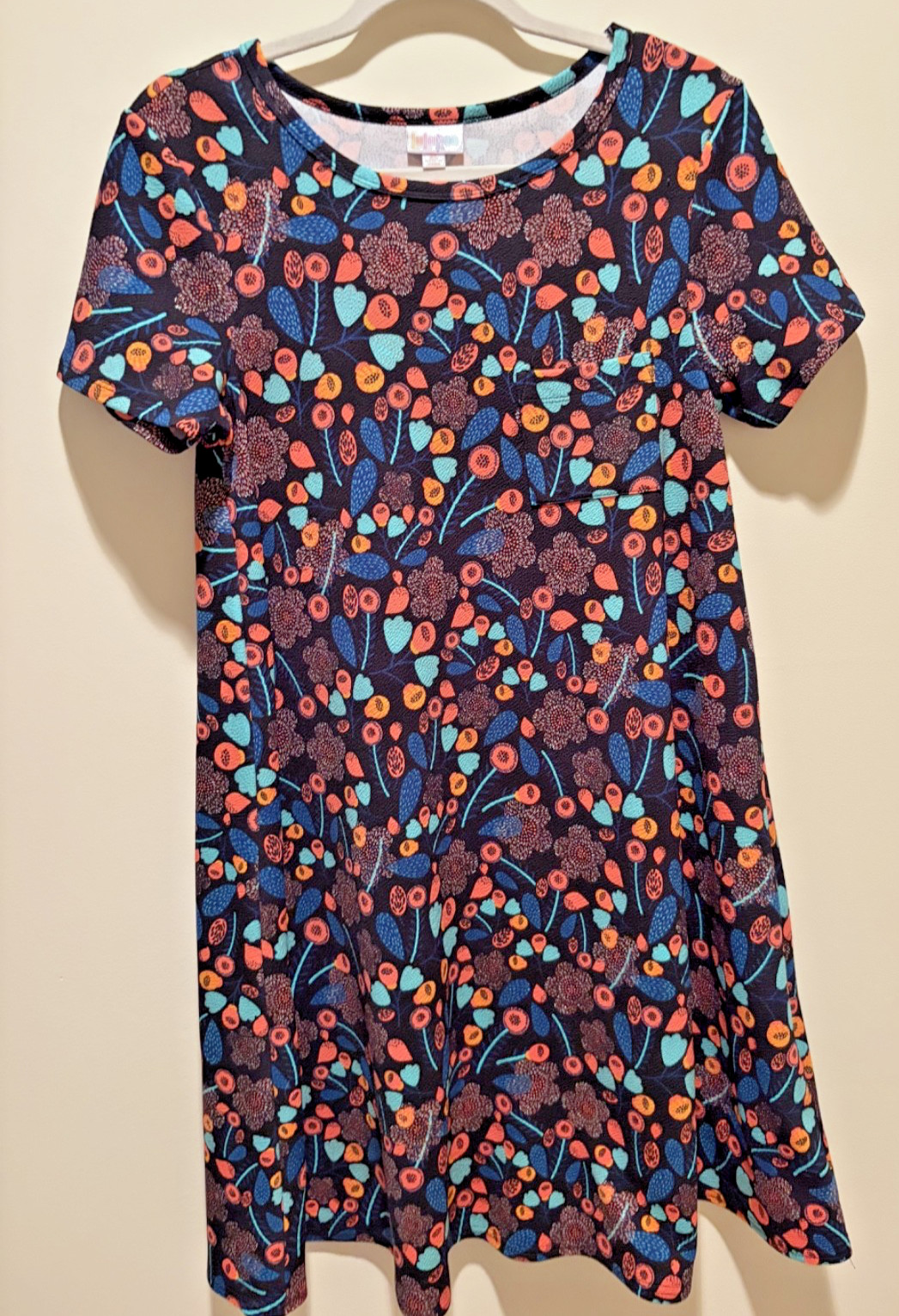 LuLaRoe XS Carly swing dress with floral print