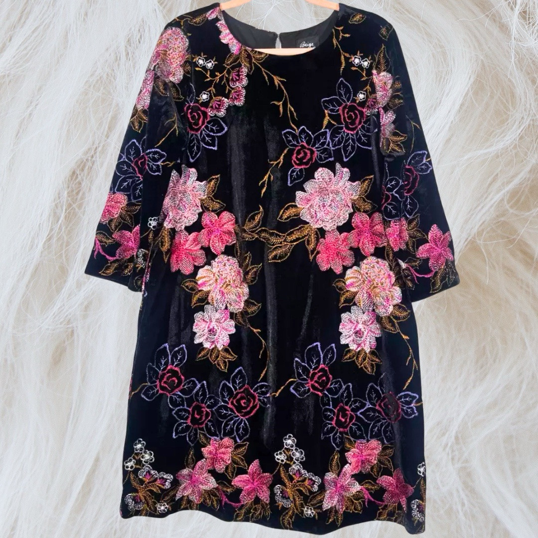 Beige Eci Dress Women Size 8 Pullover Velvet Floral Whimsygoth Embroidered