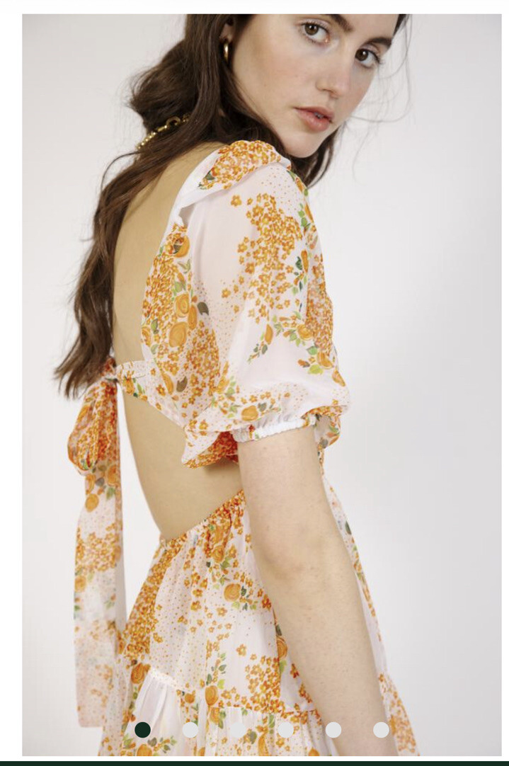 ALL THINGS MOCHI DIWATA DRESS SIZE S /BNWT $585