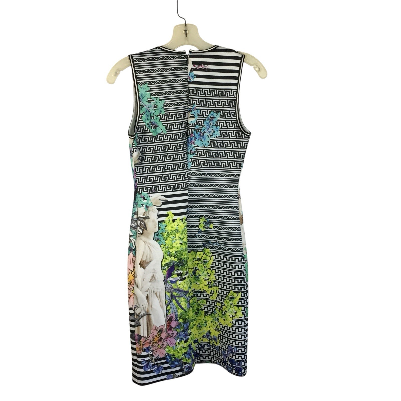 Clover Canyon Scuba Floral Art Print Sleeveless Sheath Dress Size S Small