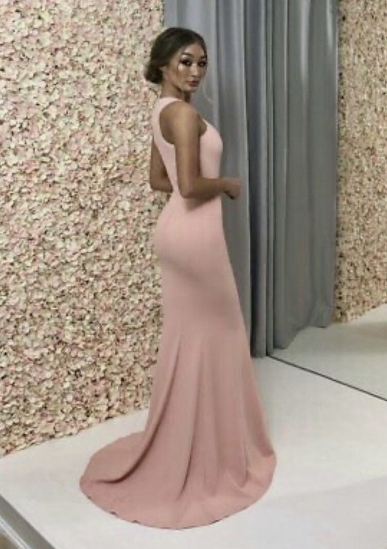 Nadine Merabi Amie Pink Maxi Dress Womens Size Uk S/M = 10 BRAND NEW