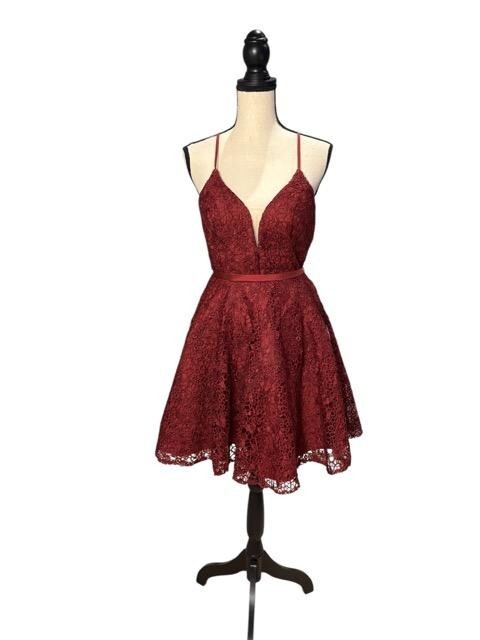 Alyce Paris Wine Burgundy Red Embroidered Lace Mini Dress Size 0 $228