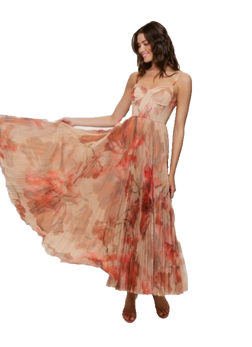 Hutch Brianna Sleeveless Bustier Pleated Tulle Maxi Dress Sz M $395 C **866