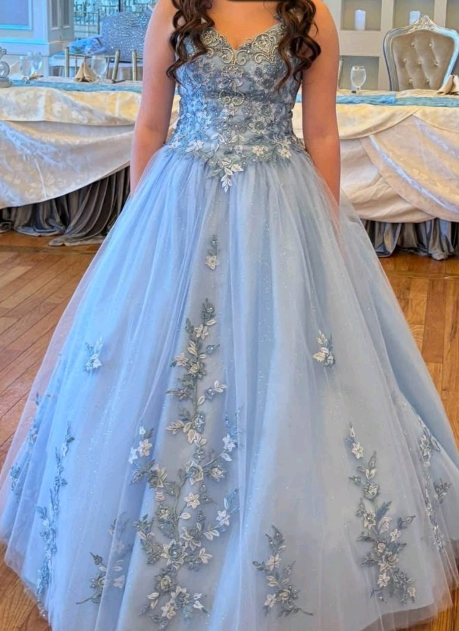 Ice Blue Embroidered Tulle Sweet 16 / Quinceañera Floral Princess BallGown SZ 10