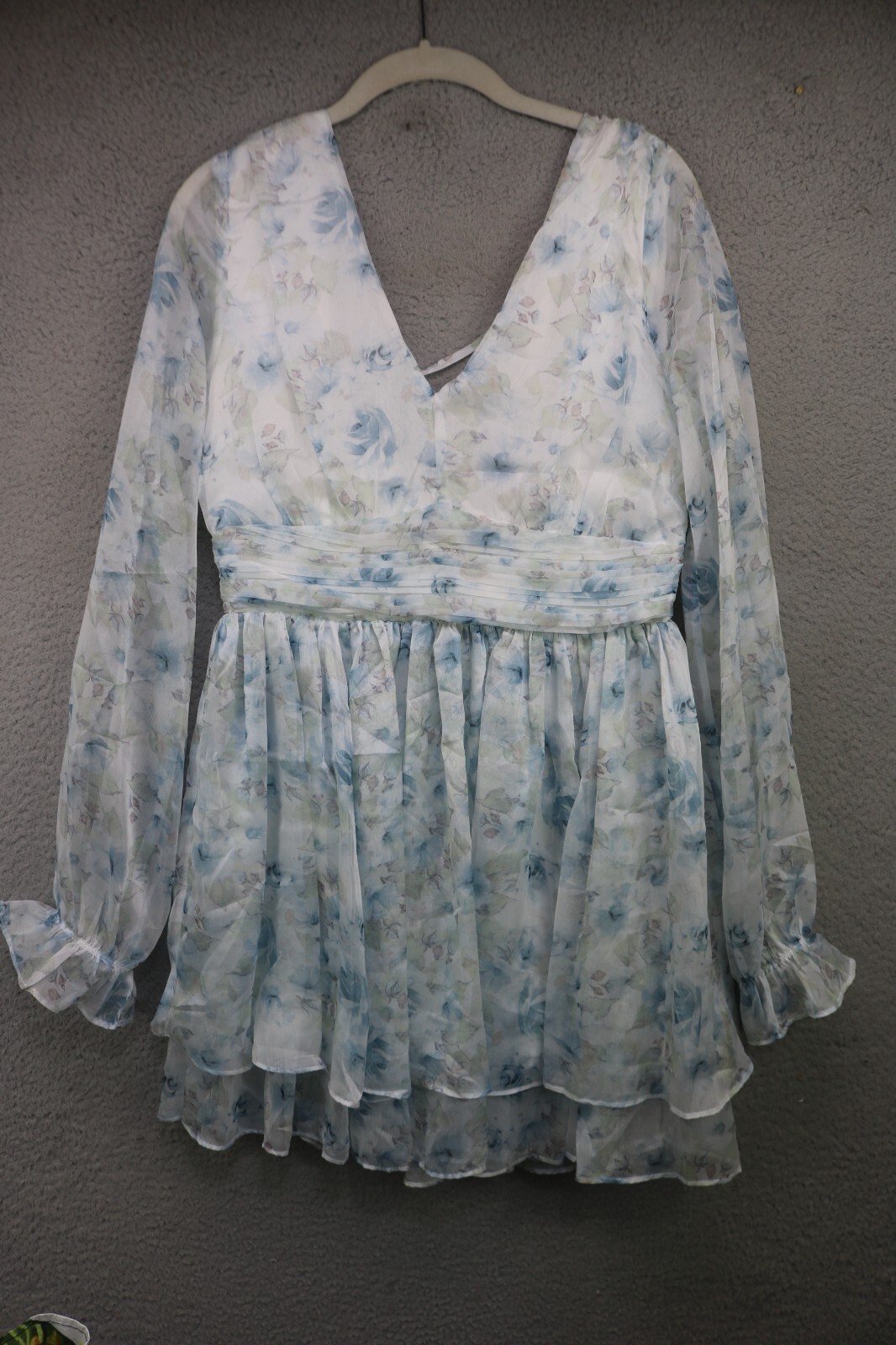 Mi Ami for Francesca’s Long Sleeve Sheer Floral Dress-Medium-NWT-Cottagecore