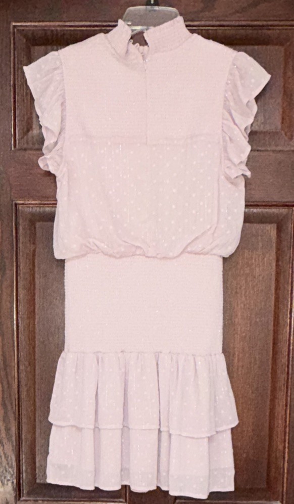 AQUA Swiss Dot Smocked Ruffle Mini Dress Shimmer Pink Size S Bloomingdales EUC