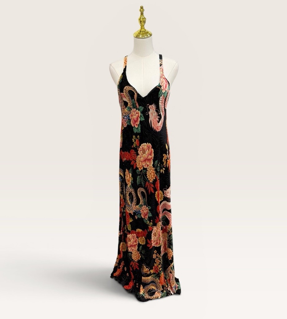 Johnny Was Small Kanako-Levi Bias Cut Burnout Maxi Dress NWT $400 Dragon, Floral
