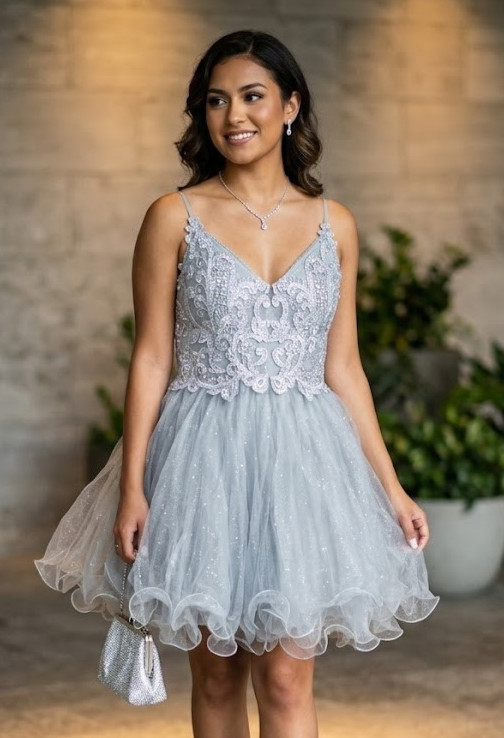 Dancing Queen 3314 Silver Tulle Short Prom Homecoming Dress Sequin Size Large L