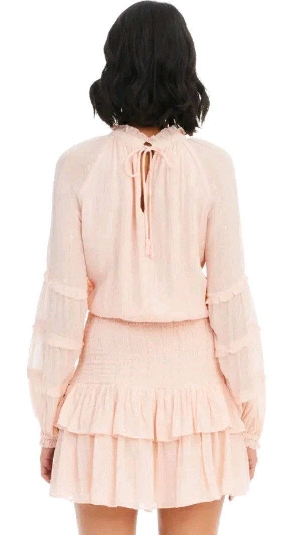 Allison New York Pixie Mini Dress Blush Pink Size Small Chiffon Ruffled Smocked