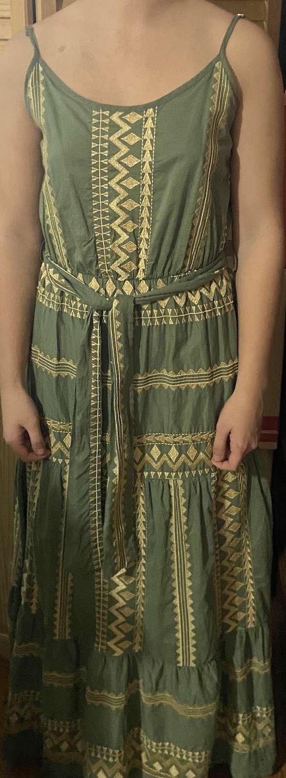 Aether Concept Nerina Greek Designer Long Dress NWT $185 Green/khaki Gold