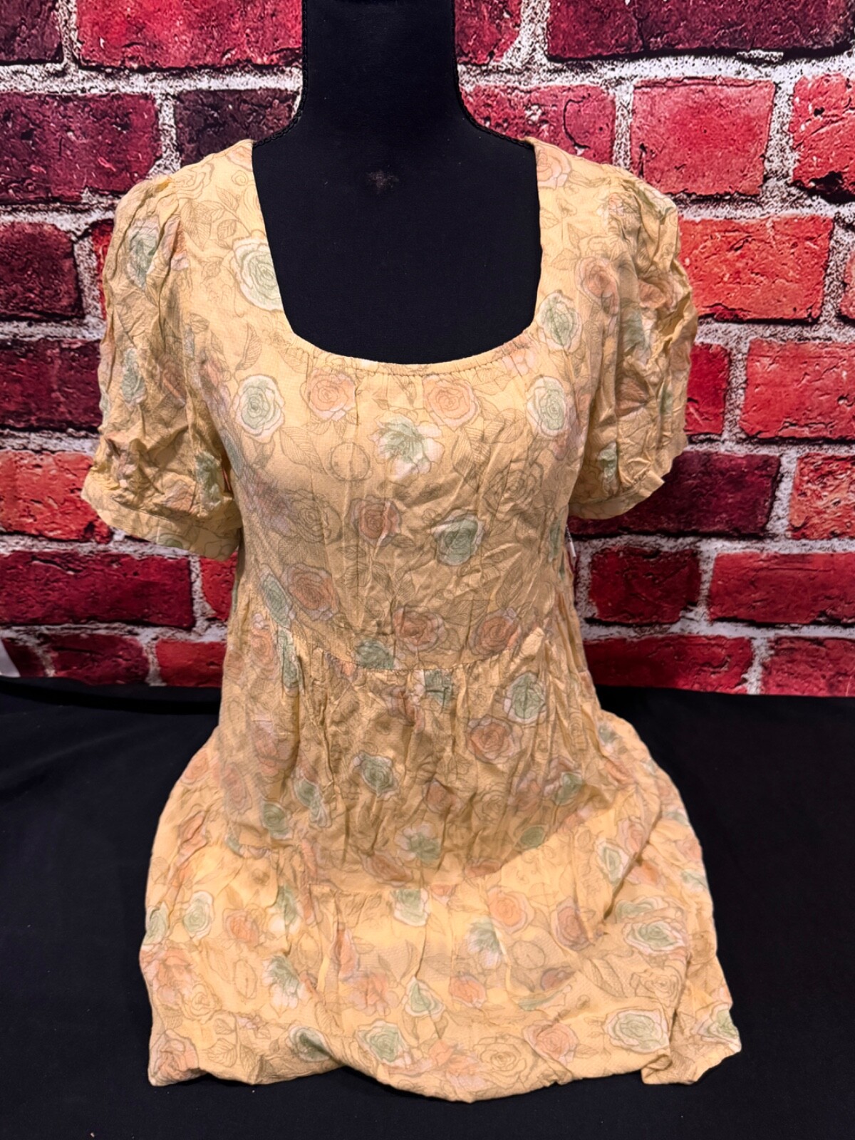 2022 Disney Parks Cinderella Floral Roses Mini Dress For Women Size Large NWT!