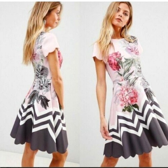 Ted Baker FAB! Haiilie Skater Dress Palace Gardens in Pink Grey Worn 1X 1 = 4