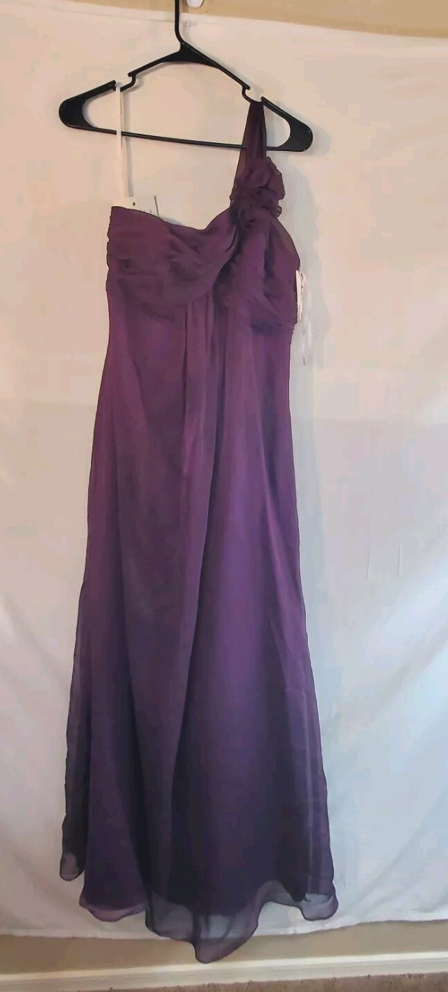 Belsoie Women’s Size 4 Purple One shoulder Maxi Dress New with Tags