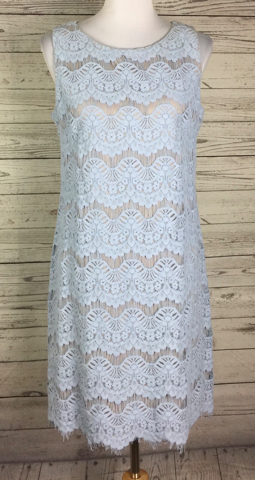 J Howard Sheath Dress Women’s Size 10 Light Blue Lace Sleeveless Nude Lined Zip