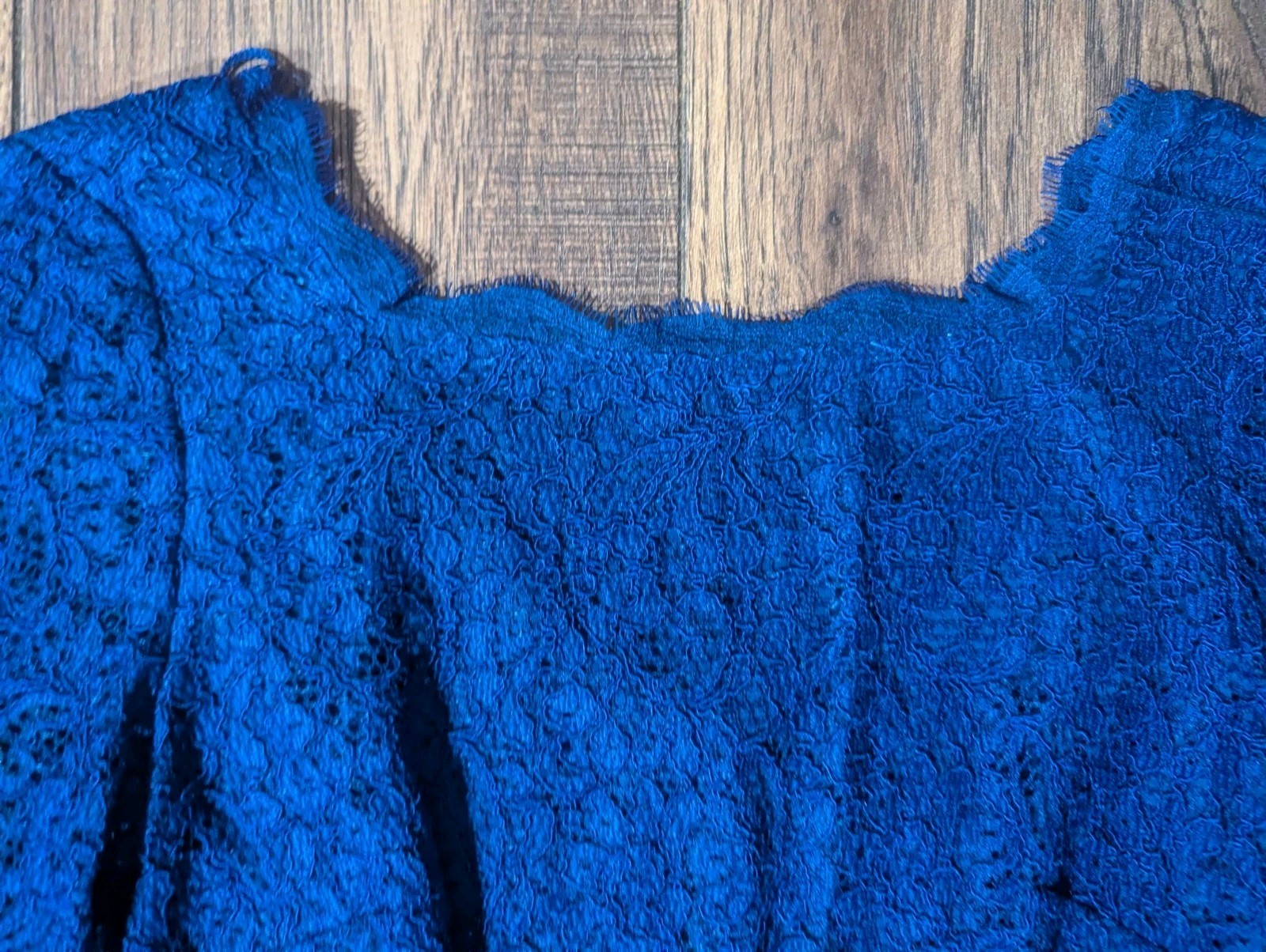 Adrianna Papell Royal Blue Lace Mini Dress Back Zipper Accent Sz 4 NWT Gorgeous