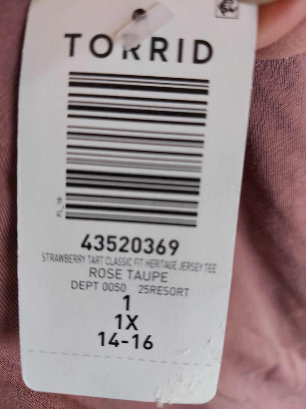 SALE! Torrid Character Tee Strawberry Tart, Rose, Size 14/16 (their size 1) New!