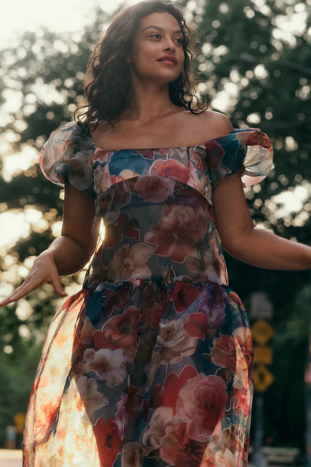 Anthropologie Puff Sleeve Off The Shoulder Drop Waist Sheer Floral Midi Dress XS