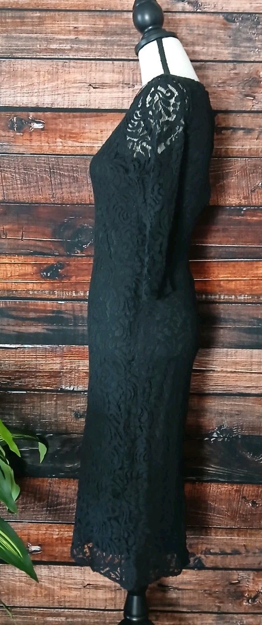 Eva Mendes NY & Co Dress Size 4 Black Lace Sheer 3/4 Sleeves Stretch Lined Zip