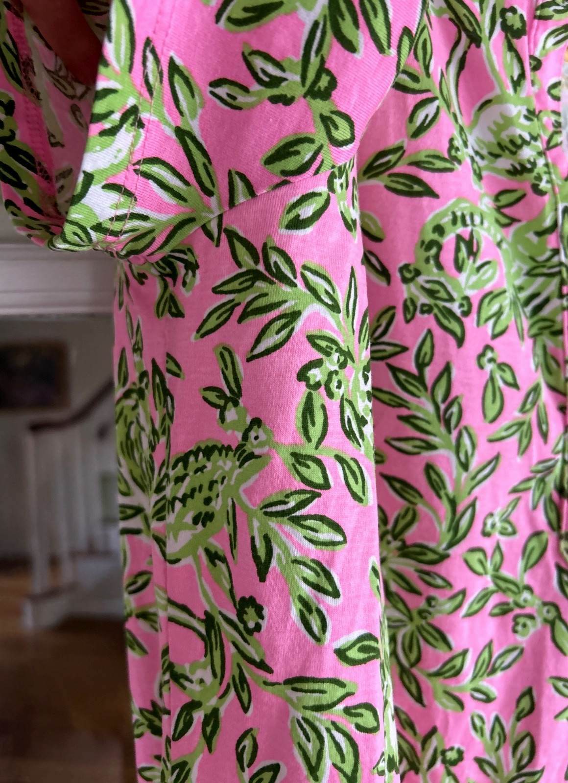New Lilly Pulitzer Dev Dress Mane Character Energy Size Large (28023C)