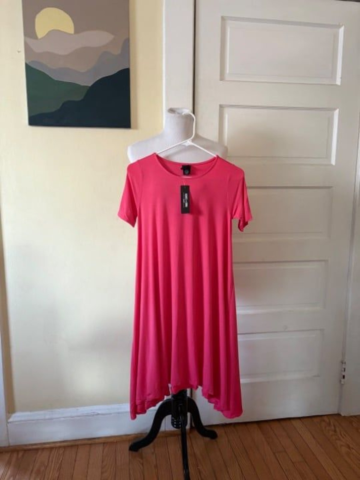 Agnes & Dora Joplin dress size XXS pink sway scoop neck modal soft party