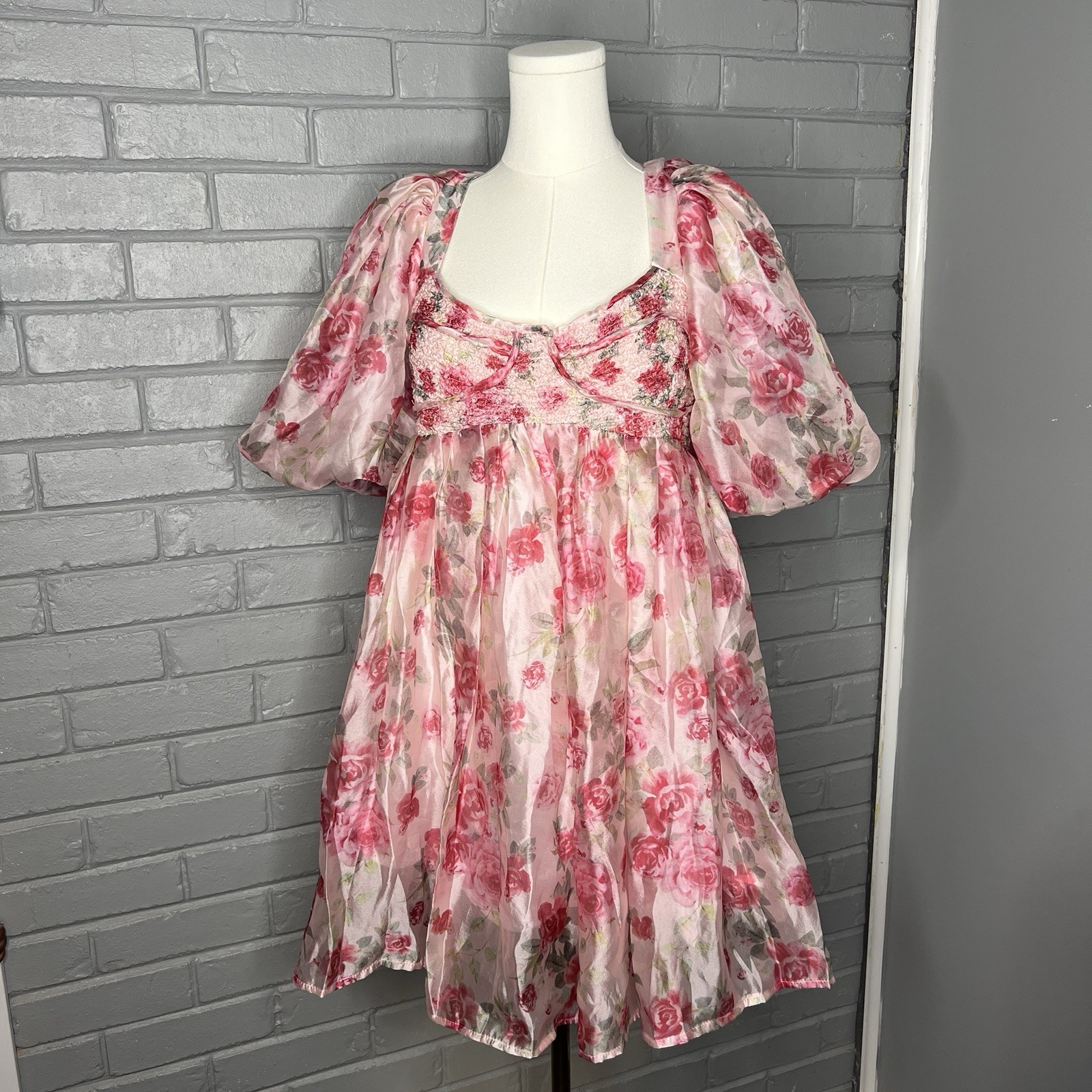 Sofie The Label Sheer Pink Floral Puff Sleeve Mini Dress Size Large