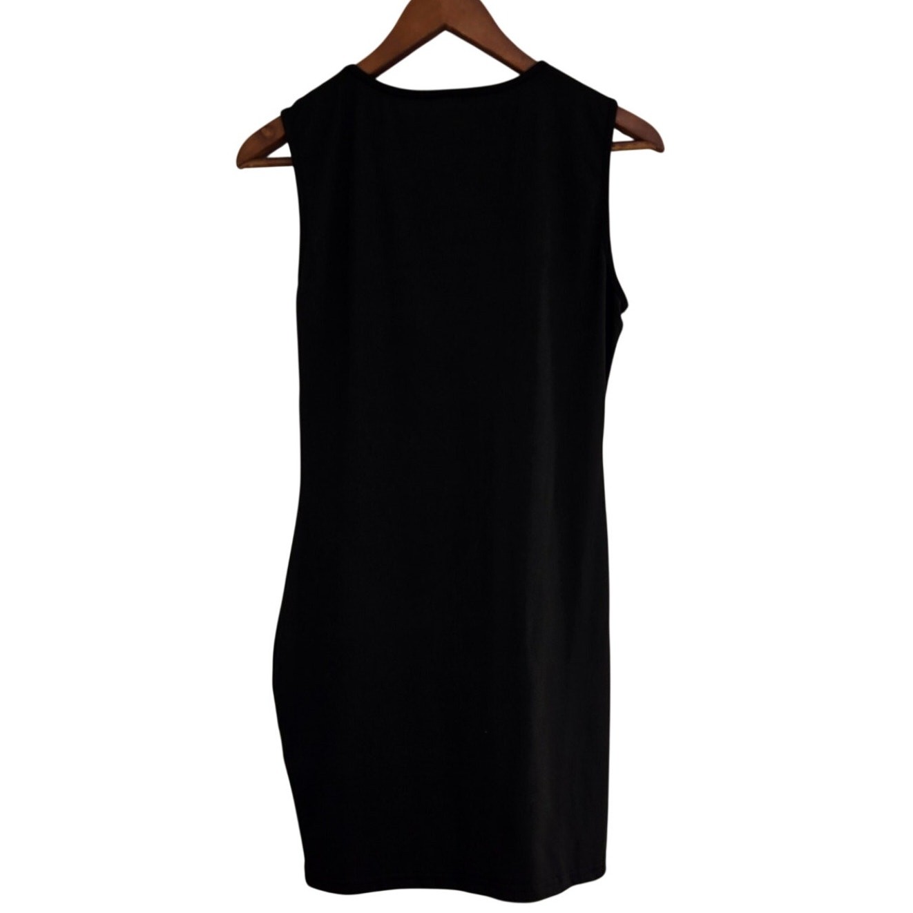 Black Deep V Sheer Sleeveless Shift Style Sexy Mini Night Out Party Dress Size M