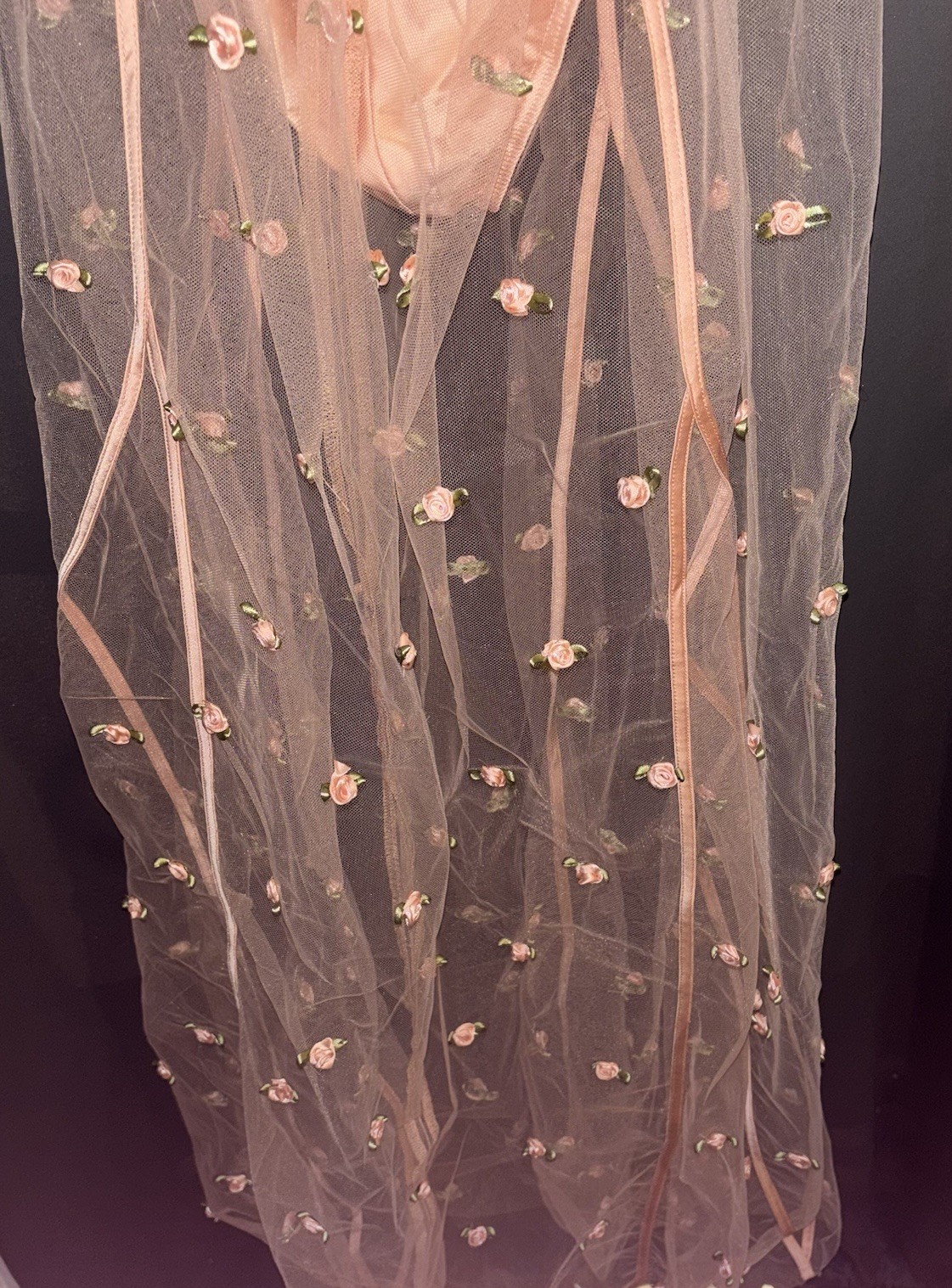 For Love & Lemons Jasmine Rosette Maxi Dress Size Small New With Tags