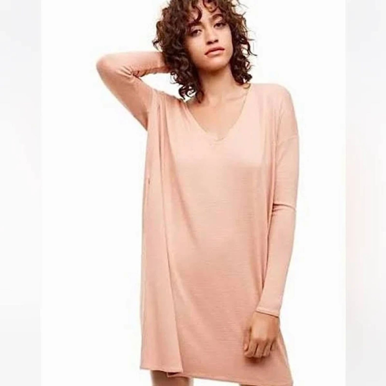 ARITZIA Wilfred Free Gail Knit Tunic Dress Beige X-Small