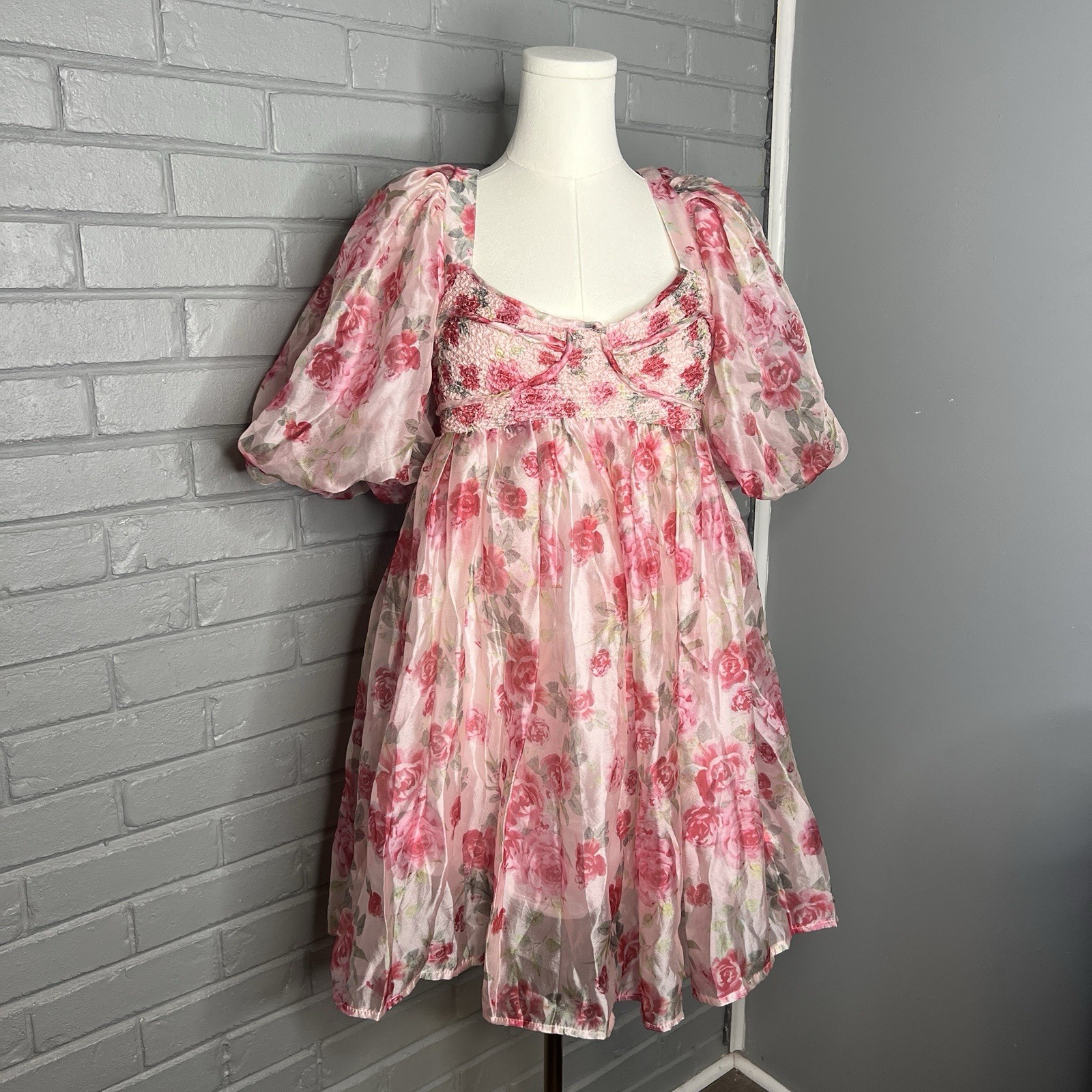 Sofie The Label Sheer Pink Floral Puff Sleeve Mini Dress Size Large