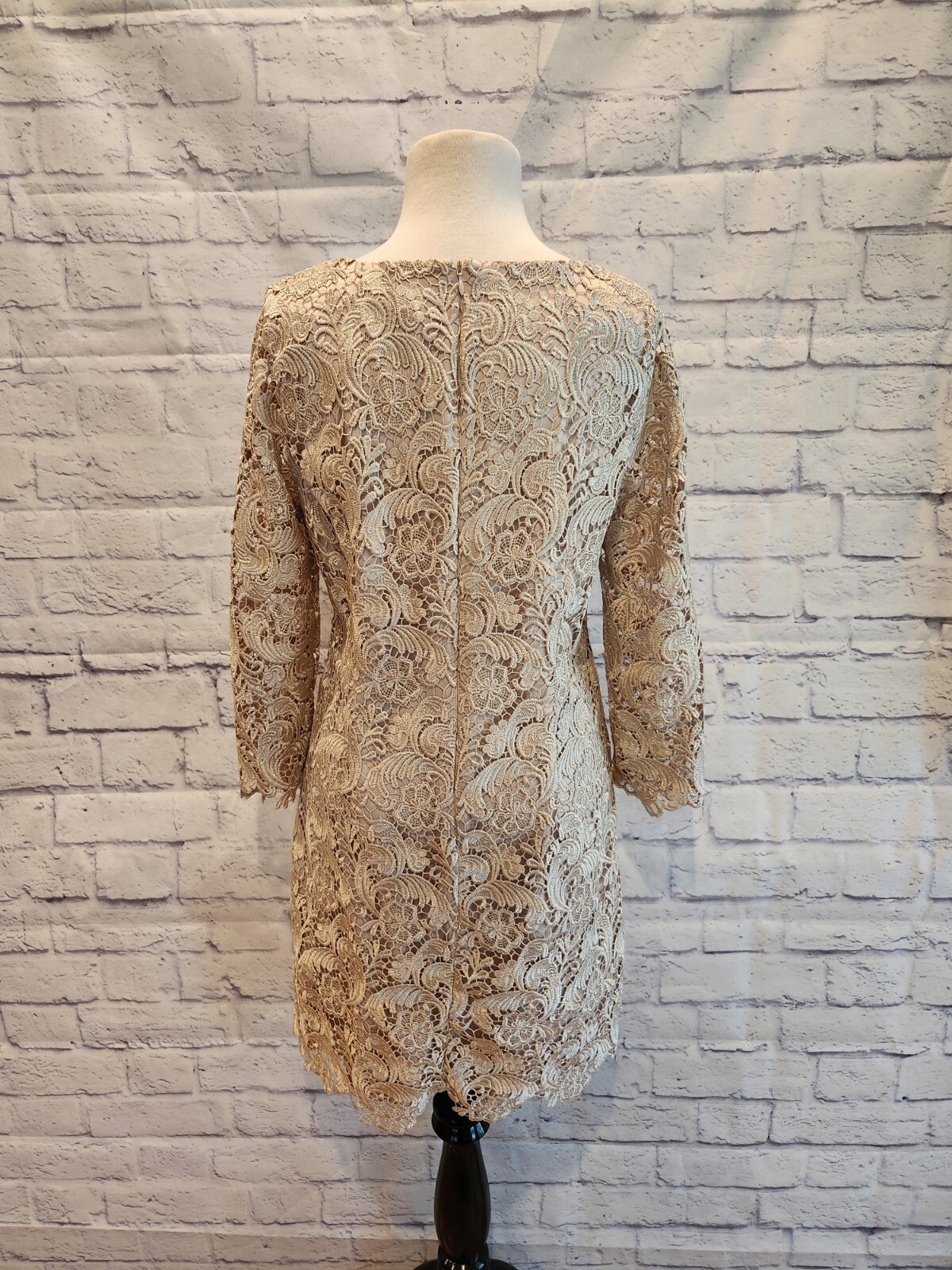 WHBM Lace Overlay Special Occasion Shift Dress Champagne Beige Size 8