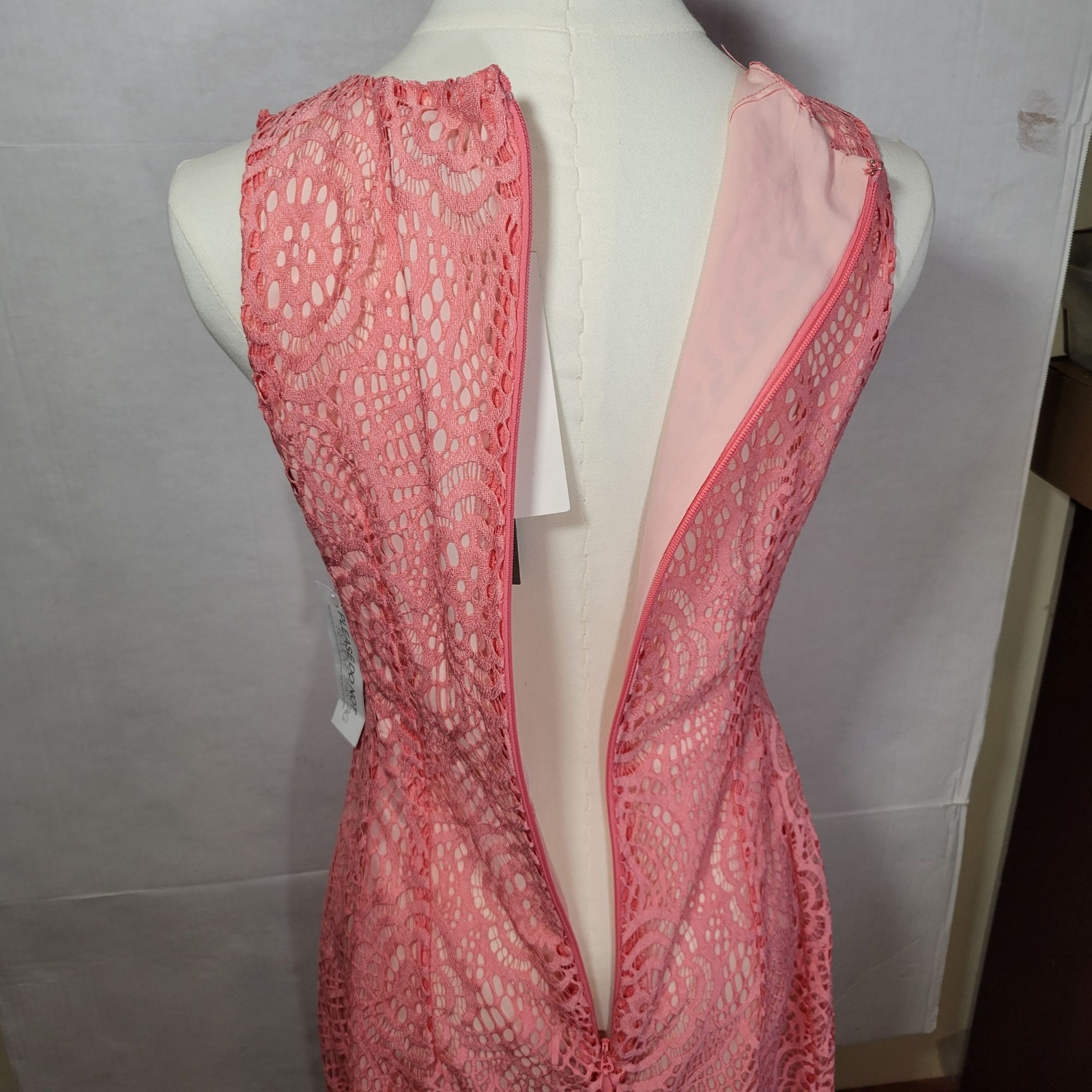 Eva Mendes NY&C Formal Classic Elegant Pink Lace Sleeveless Dress Size 2