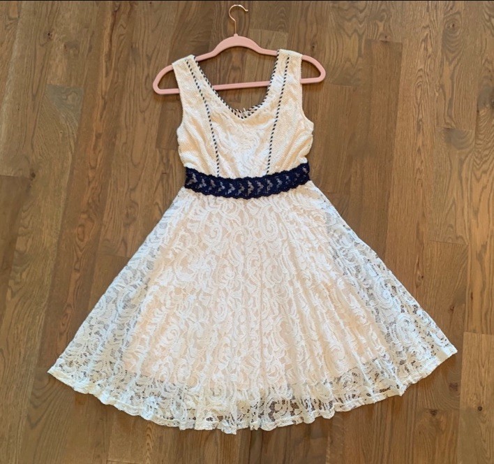 Ryu cream beige embroidered lace sleeveless tulle dress Sz S NWT