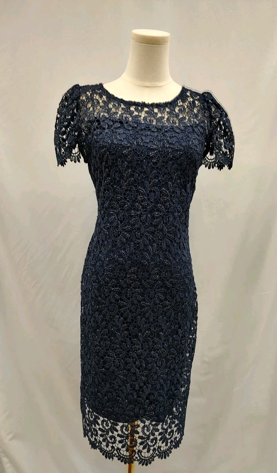 Betsy & Adam Sheath Dress Blue Lace Overlayer Slip Short Sleeve Evening Formal 6