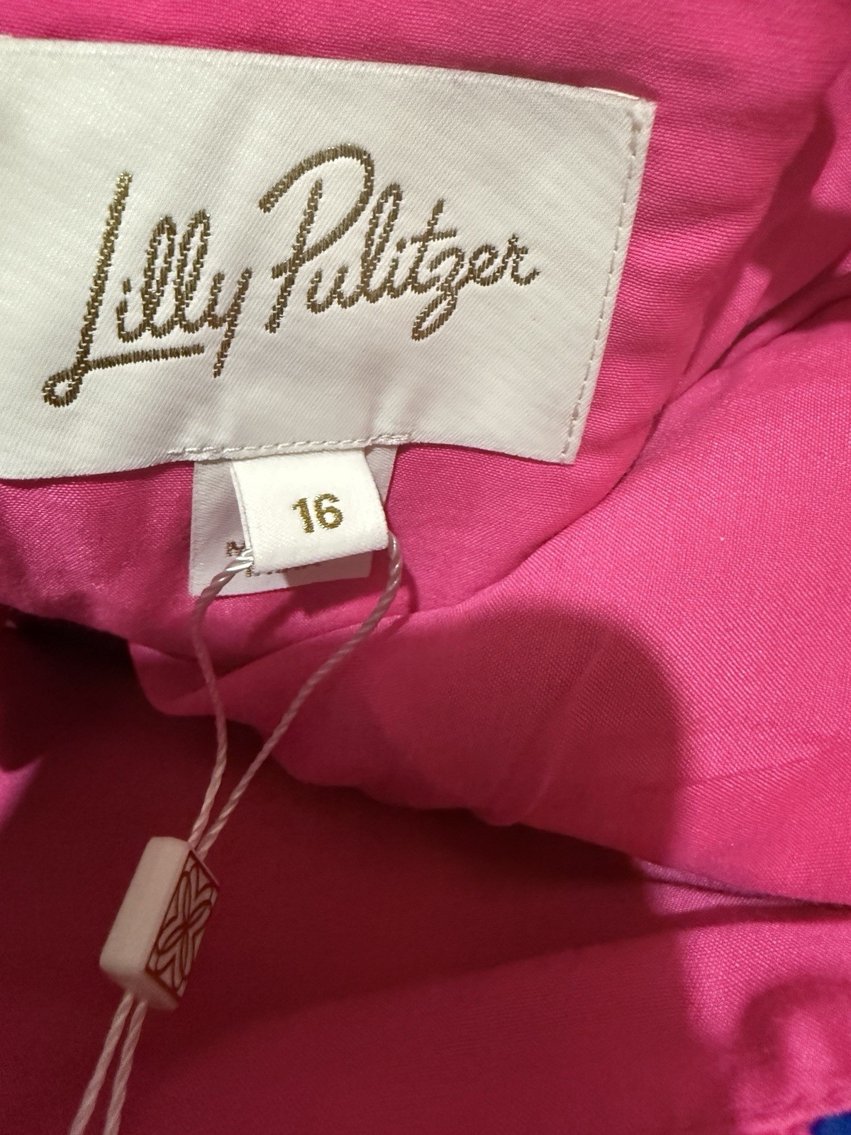NWT LILLY PULITZER Bernadetta Maxi Dress Passion Fruit Pink Wild Nights Size 16