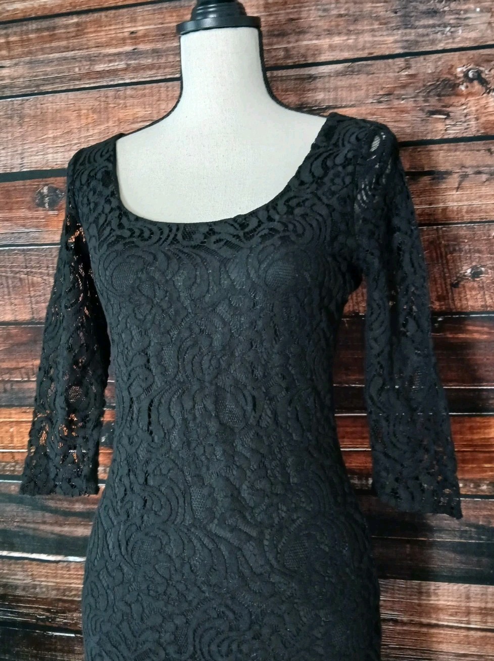Eva Mendes NY & Co Dress Size 4 Black Lace Sheer 3/4 Sleeves Stretch Lined Zip