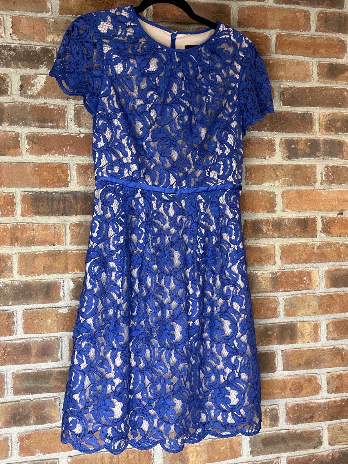 Adrianna Papell Blue Floral Lace Fit & Flare Lined Zip Round Neck Size small
