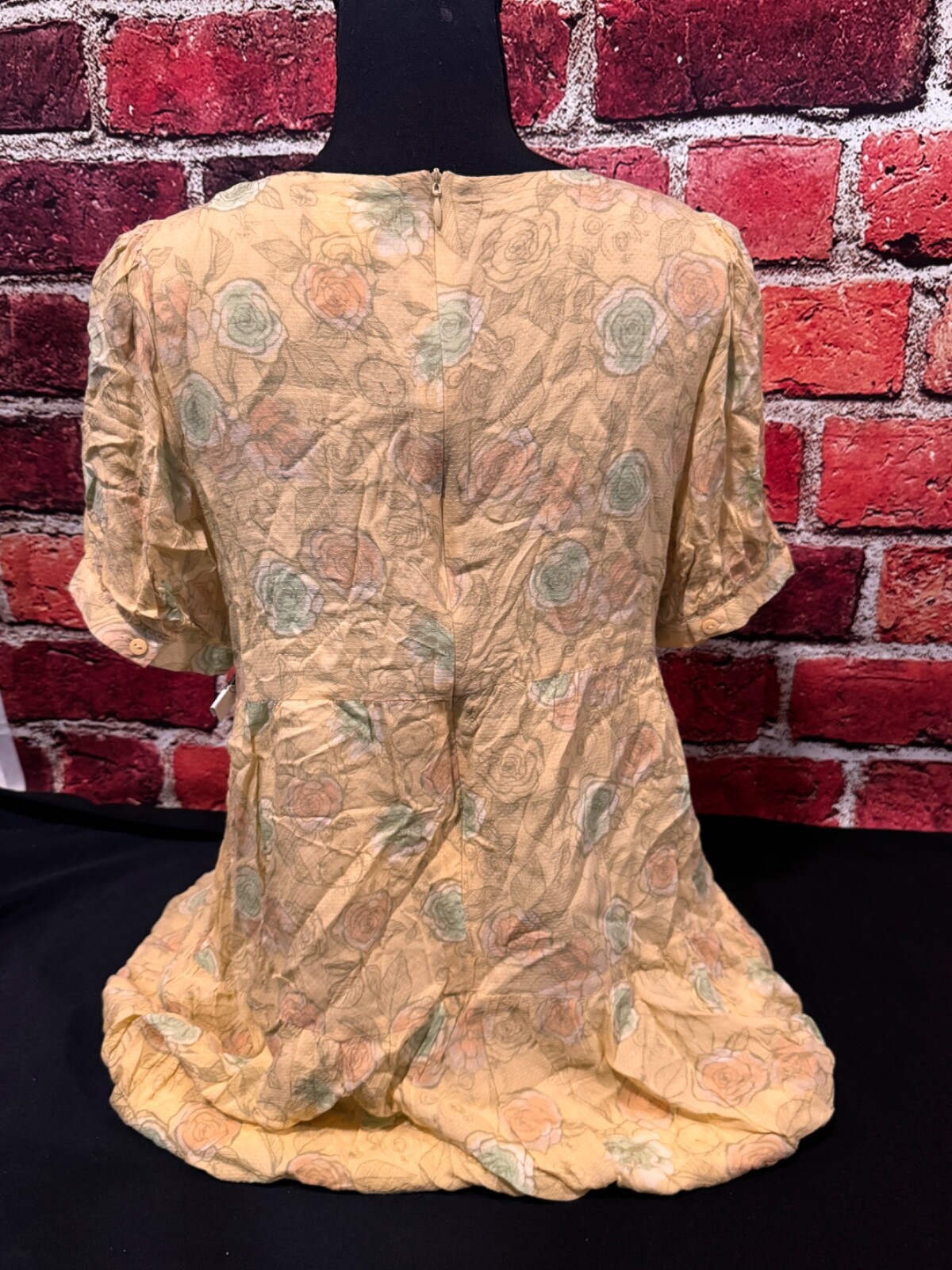 2022 Disney Parks Cinderella Floral Roses Dress For Women Size Large NWT n4