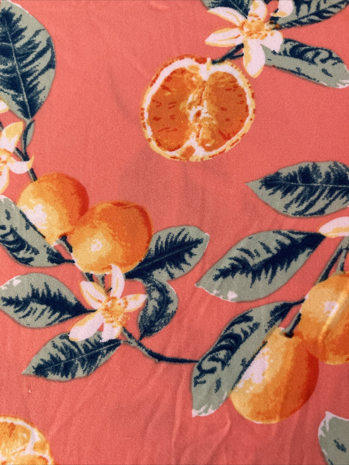 Allison Brittney Fruit Floral Shift Dress Plus 1X Citrus Print Swing Summer NWT