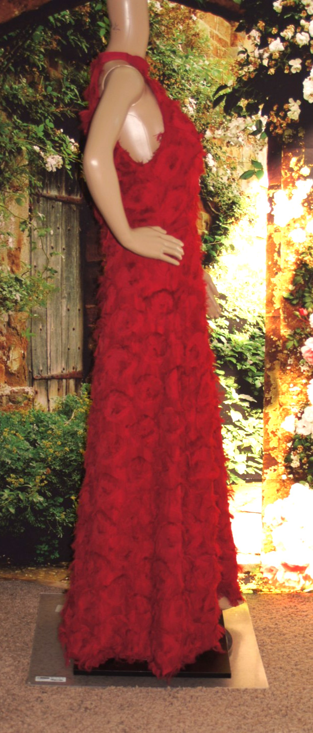 DEAT Red Eye Lash Material Halter Neck Gown size L (see measurements)