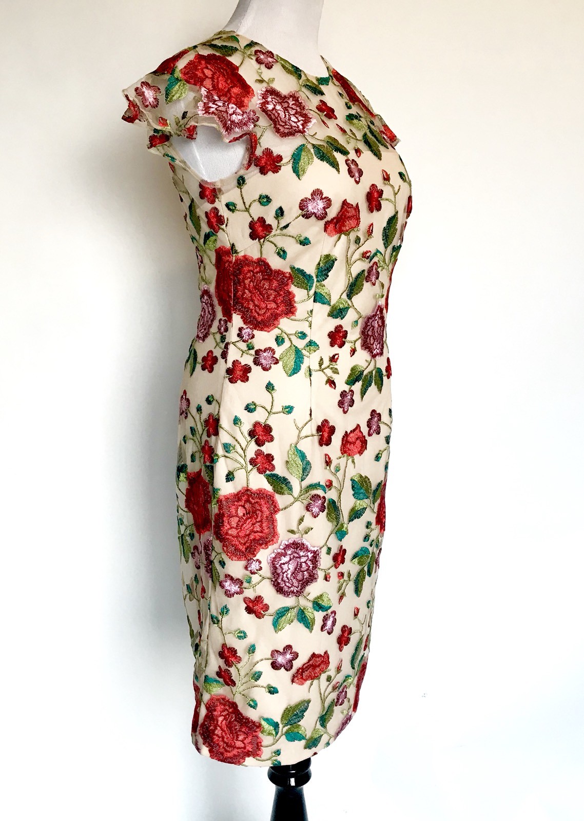 Carmen Marc Valvo Sz 6 Embroidered Floral Dress Retail $325 Price $148 NWT