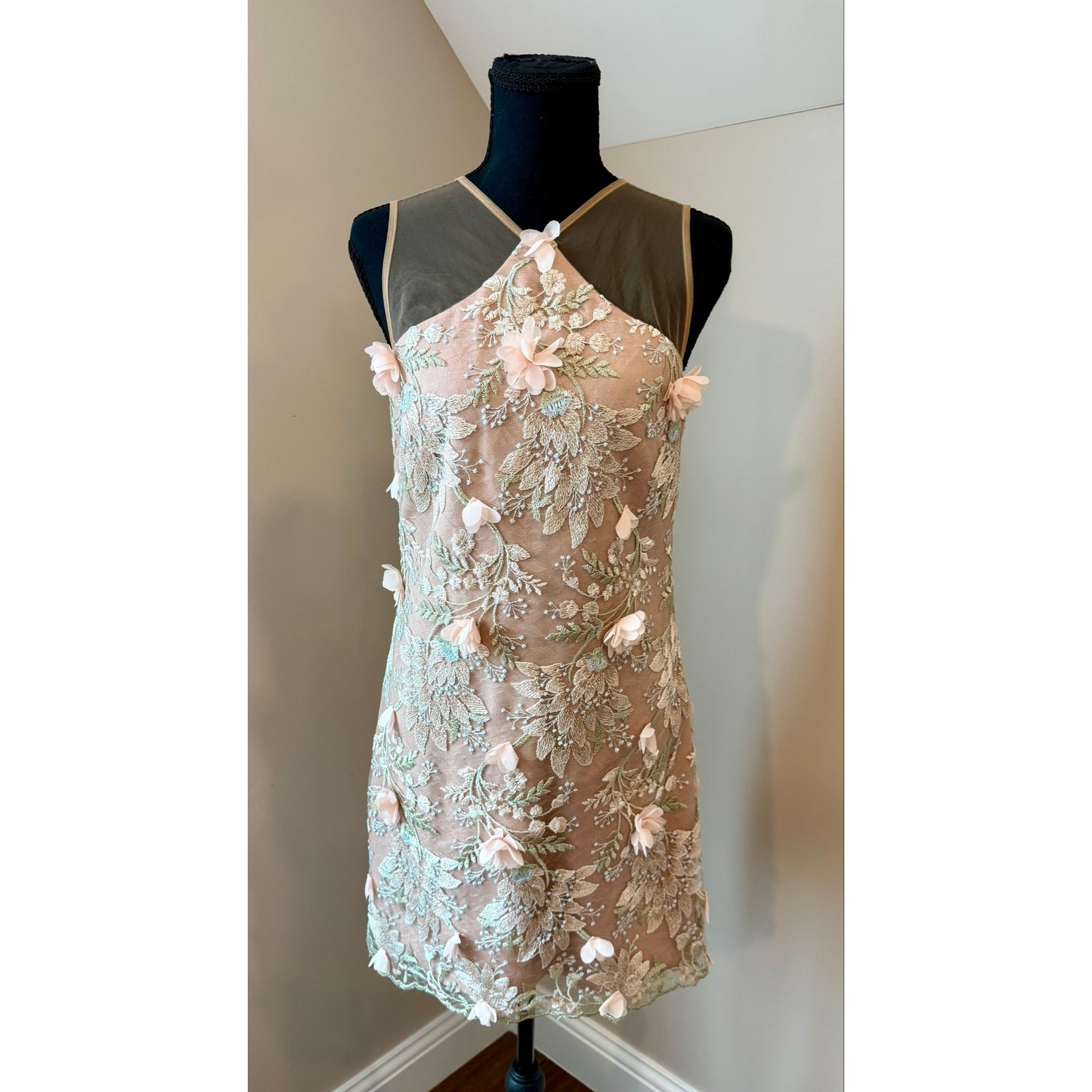 Dress the Population Lena Pink Floral Lace Embellished Illusion Dress, Sz. Small