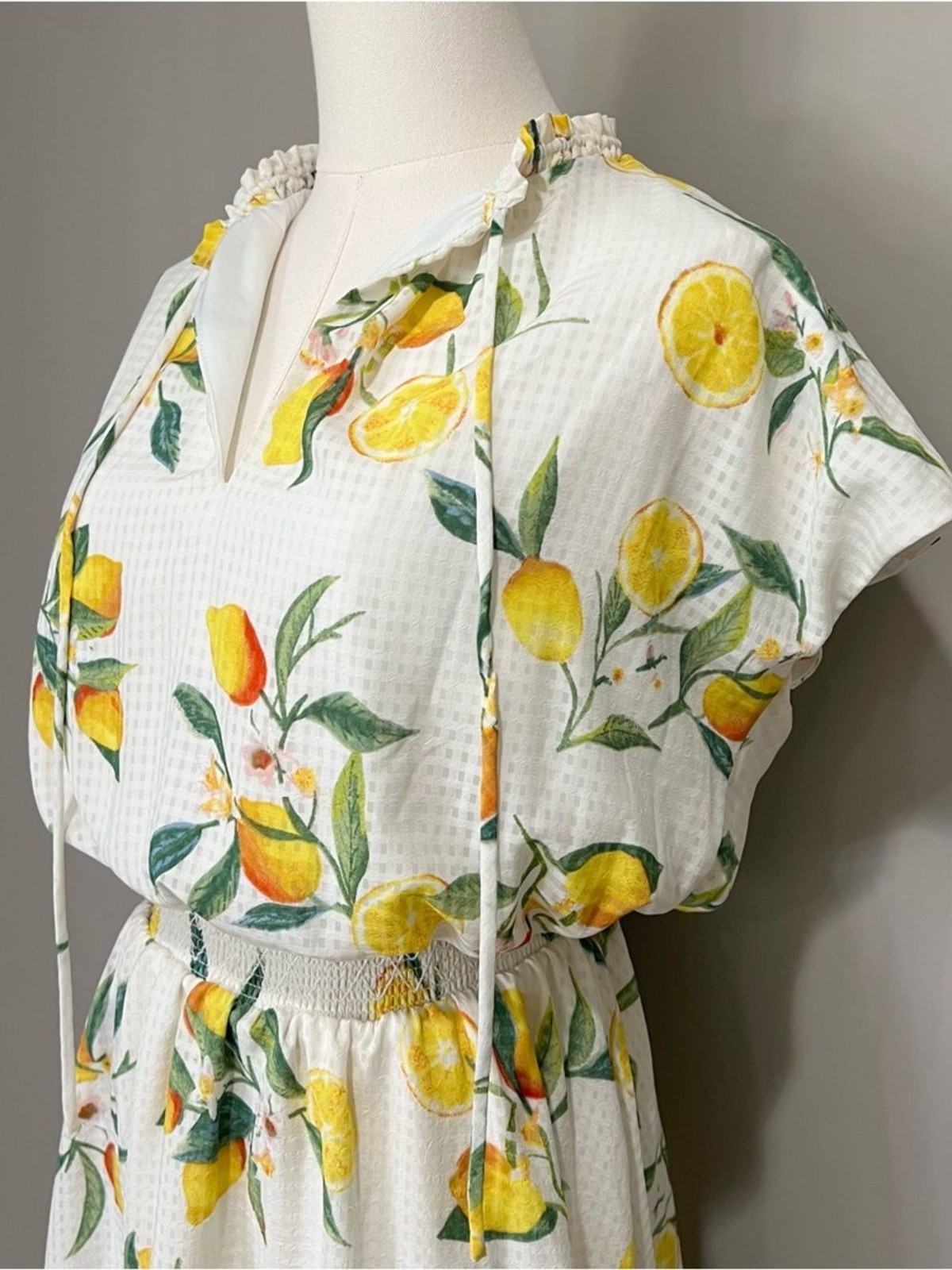 Ophelia Roe Lemon Print Dress Size S