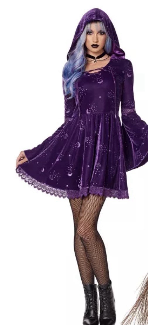Spirit Halloween Purple Velvet Witch Dress Hooded Goth Whimsigoth Medium