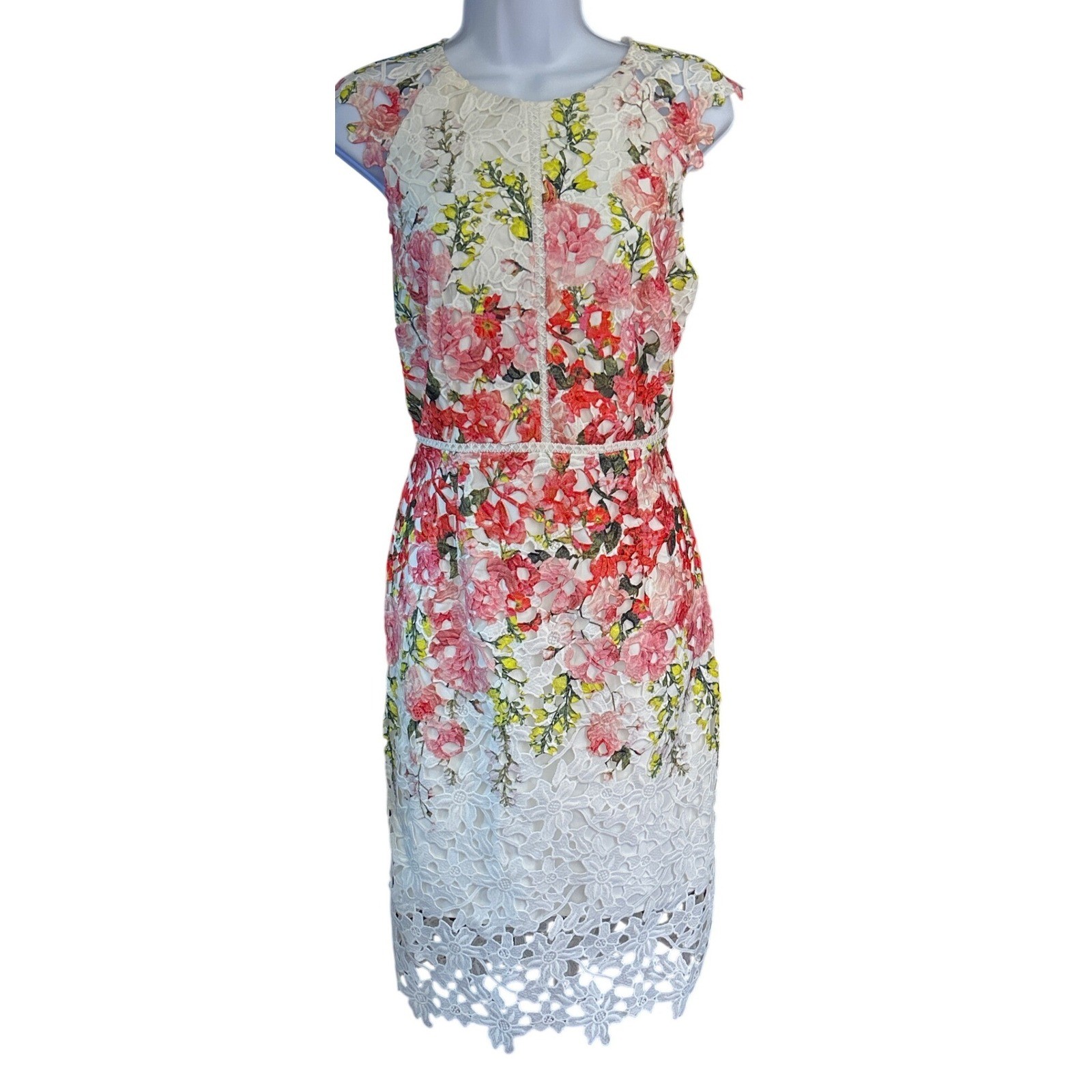 Antonio Melani Jolene Dress Floral Lace Cottagecore Garden Party Wedding Guest